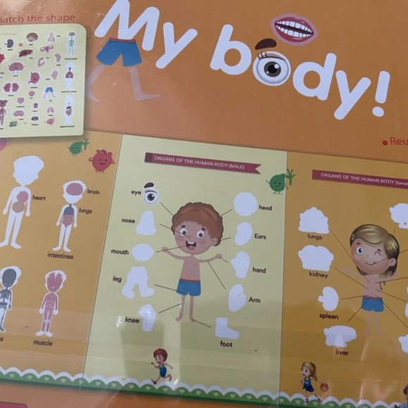 Bundle of coloring- spelling book, My body stickers, pencil and crayon for kids - Picture 4 of 4